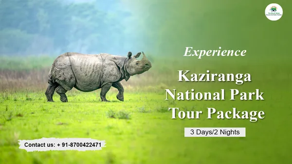 Kaziranga National Park Tour