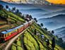 Darjeeling Sikkim Honeymoon Tour