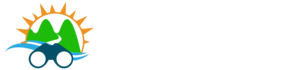 TSS logo
