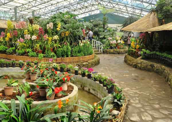 Deorali Orchid Sanctuary Gangtok-min