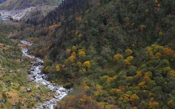 kyongnosia-alpine-sanctuary