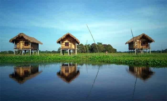 Majuli Island