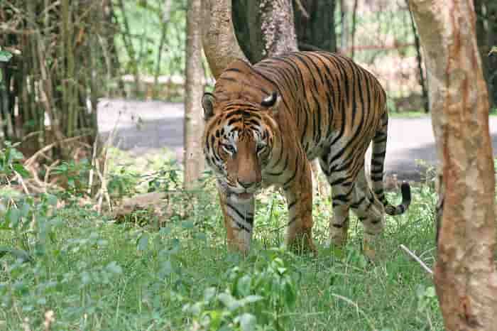 Nameri National Park