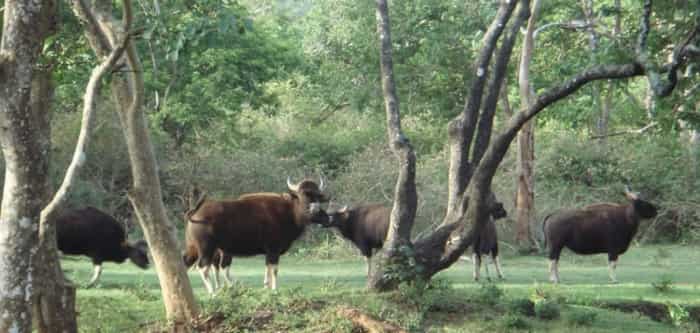 Tourism in Dibrugar