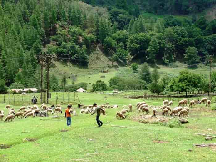 Sangti Valley