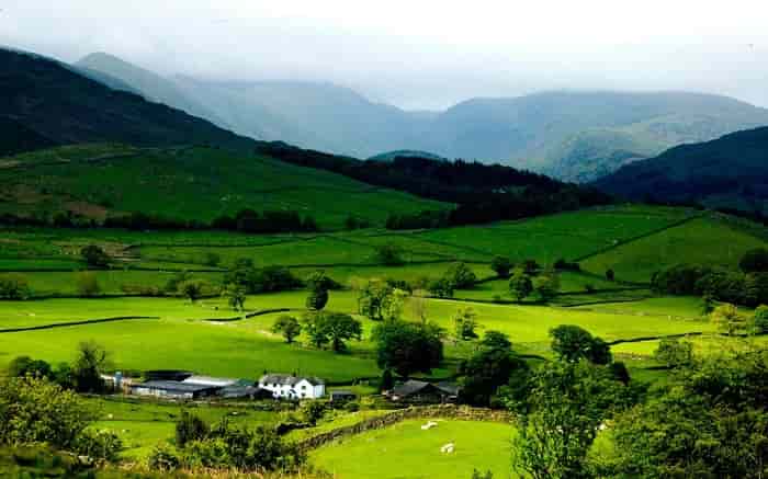 Lush Green Hills