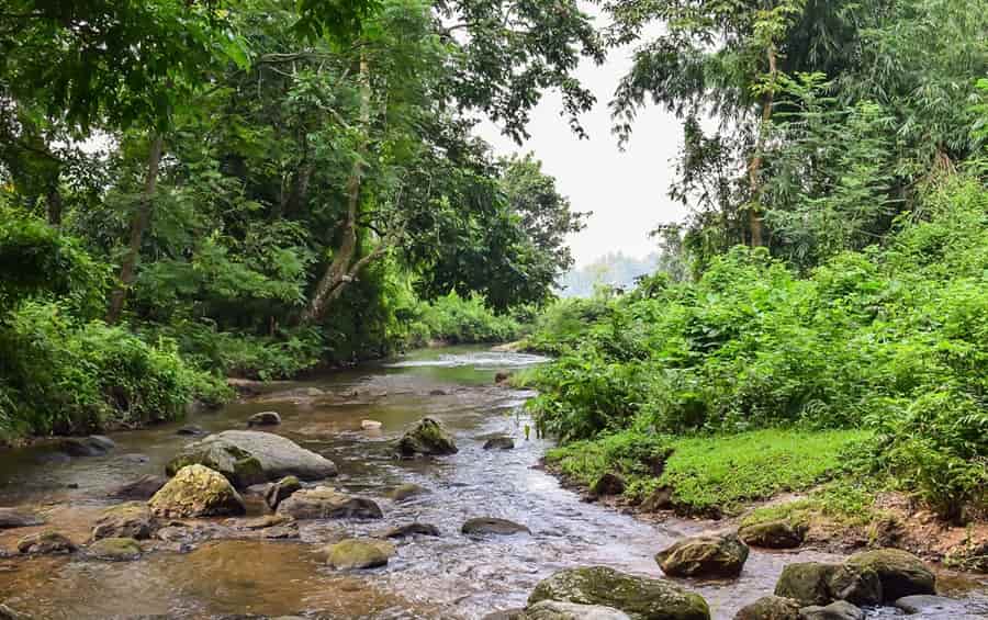 Chakrashila Wildlife Sanctuary