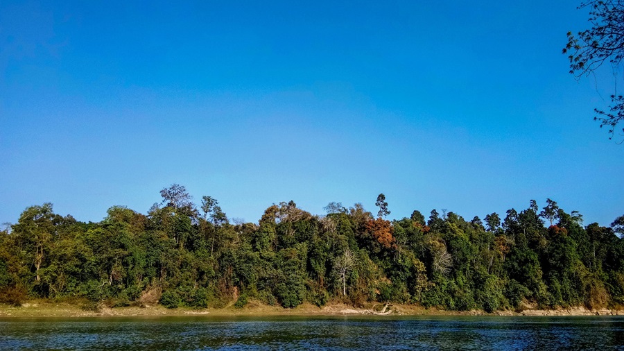 Dehing Patkai Wildlife Sanctuary, Assam