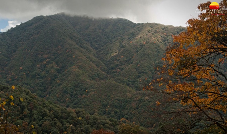 Eagle’s Nest Sanctuary, Arunachal Pradesh