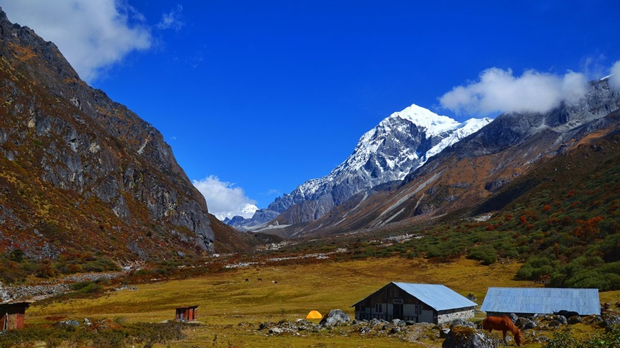 Khangchendzonga National Park, Sikkim