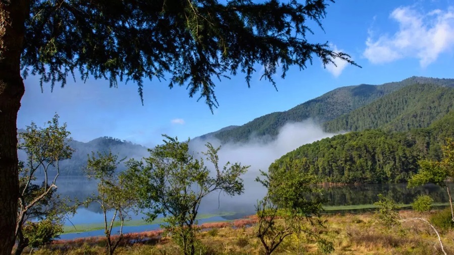 Namdapha National Park, Arunachal Pradesh