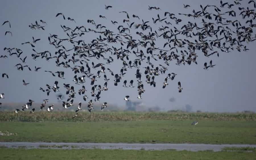 Panidehing Bird Sanctuary