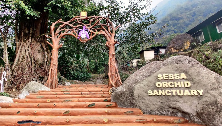 Sessa Orchid Sanctuary, Arunachal Pradesh