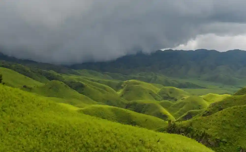 Dzukou Valley, Nagaland