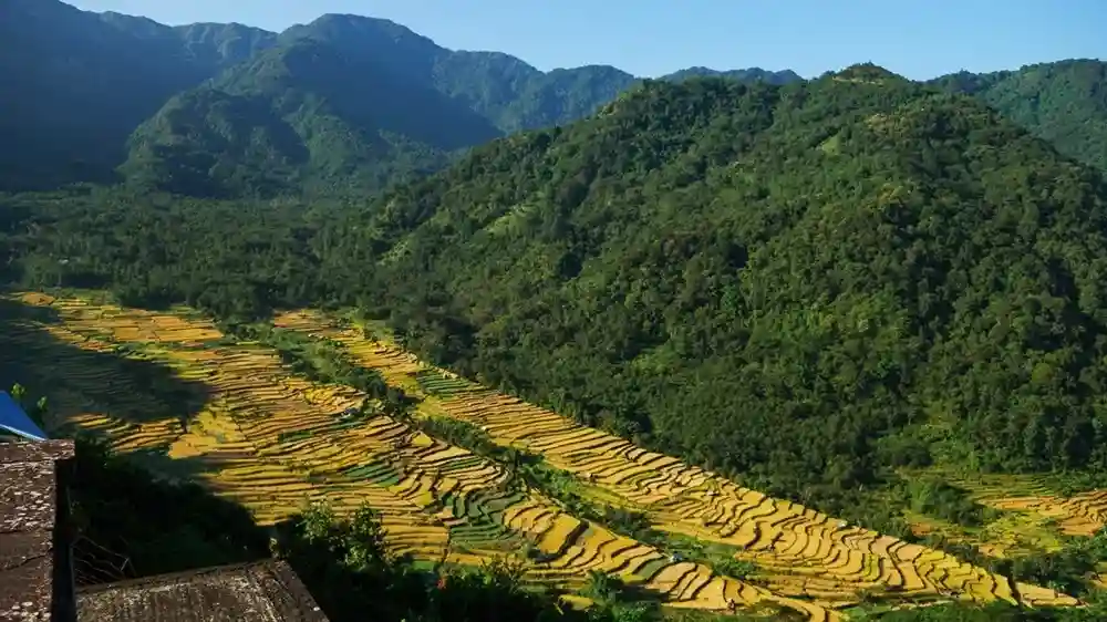 Khonoma Green Village